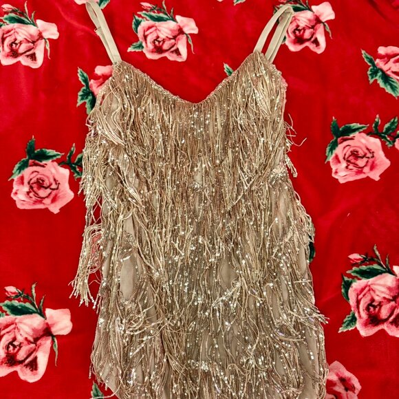 Amazing Lace Rose Gold Sequin Fringe Dress XL – Shake It My Way - Picture 4 of 9